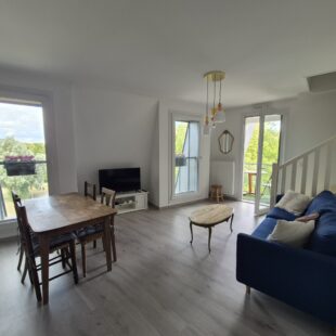 Location appartement meublé à Lille