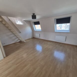 Location appartement à Faches-Thumesnil