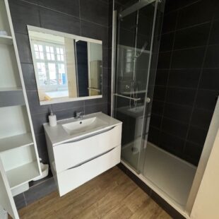 Location appartement meublé à Lille
