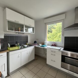 Location appartement à Wasquehal