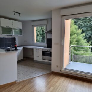 Location appartement à Wasquehal