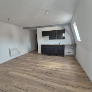 Location appartement à Roubaix