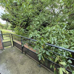 Location appartement à Somain