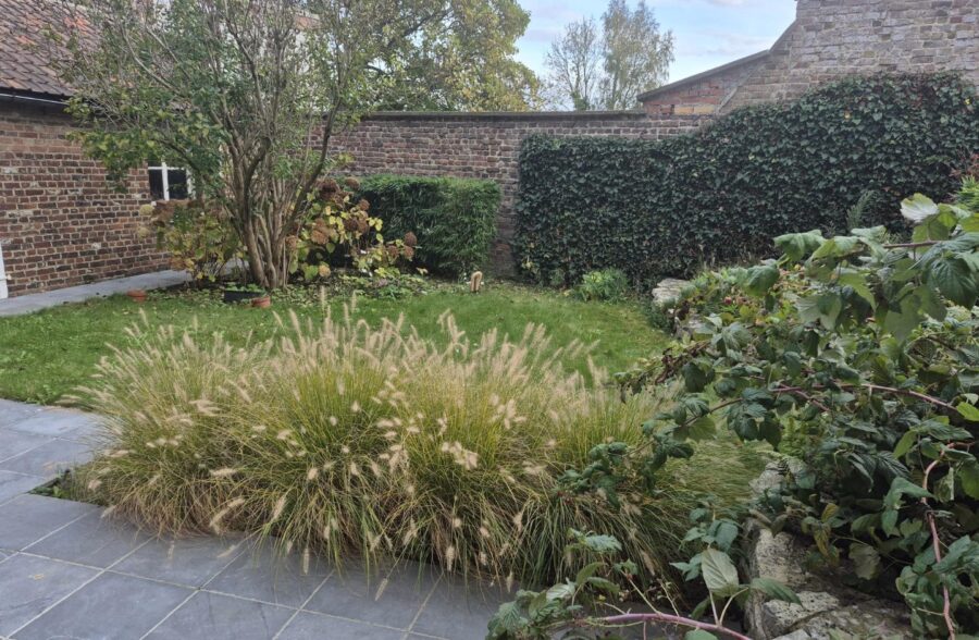 Location maison à Steenvoorde