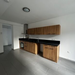 Location maison à Wasquehal