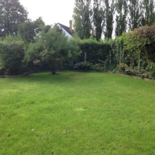 Location maison à Wizernes