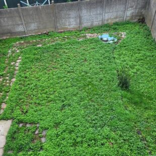 Location appartement à Courrières