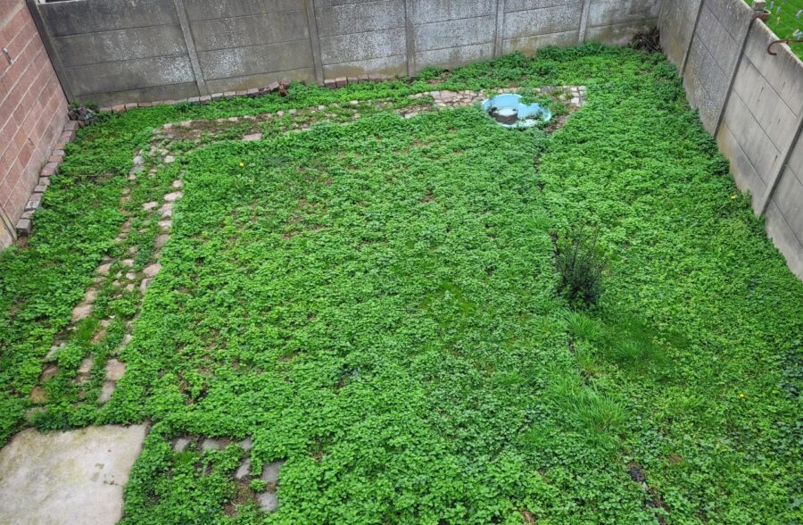 Location appartement à Courrières