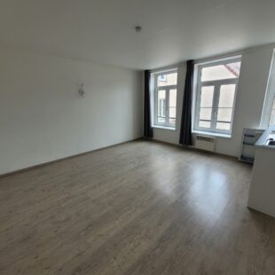 Location appartement à Lille