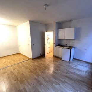 Location appartement à Lille