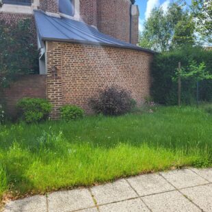 Location maison à Saint-Omer