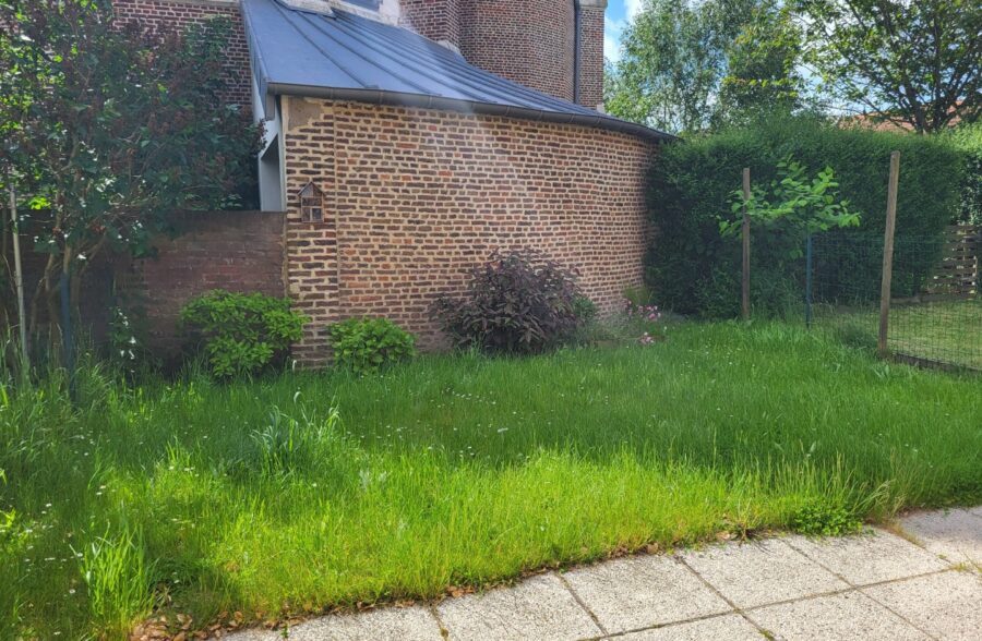 Location maison à Saint-Omer