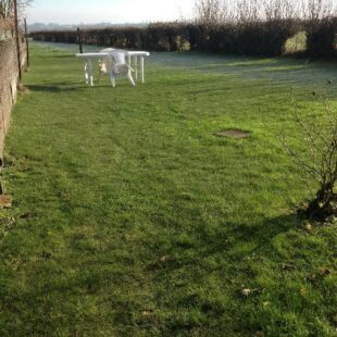 Location maison à Leulinghem