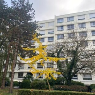 Location appartement à Lambersart