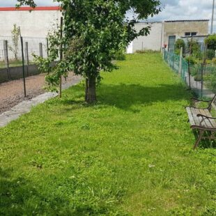 Location maison à Marœuil