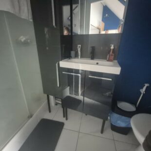 Location appartement meublé à Lille