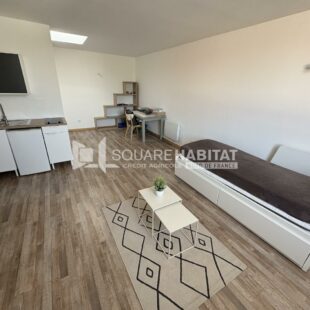 Location appartement meublé à Lille