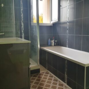 Location maison à Faches-Thumesnil