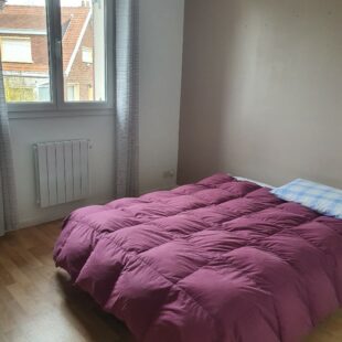 Location maison à Faches-Thumesnil