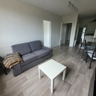 Location appartement meublé à Lille