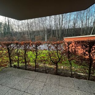 Location appartement à Wasquehal