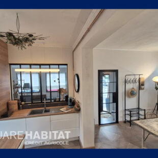 Appartement  2 pièces 54 m2 coin cabine meublé