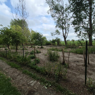 Terrain d’agrément Looberghe