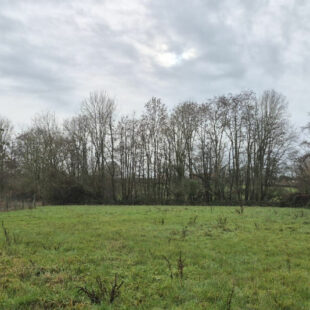 Terrain Bousies 3000 m2