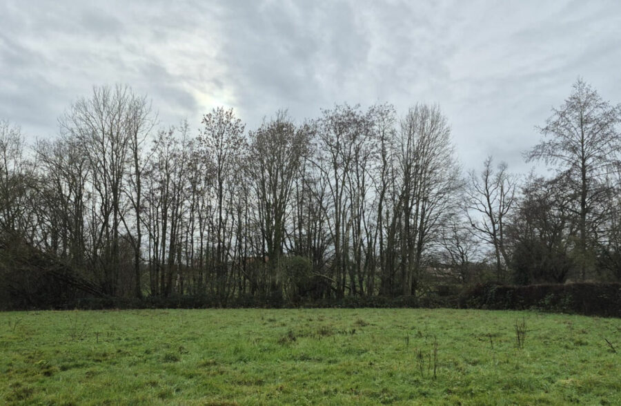 Terrain Bousies 3000 m2