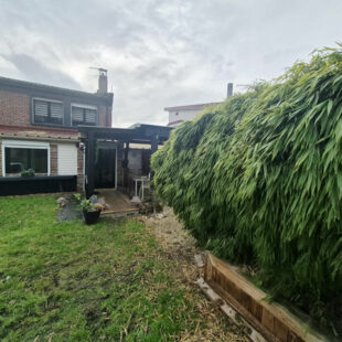 Maison Lapugnoy 3 chambres 1 bureau jardin garage