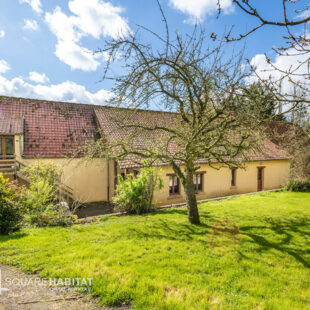 Maison Wierre Effroy 7 pièce(s) 244 m2