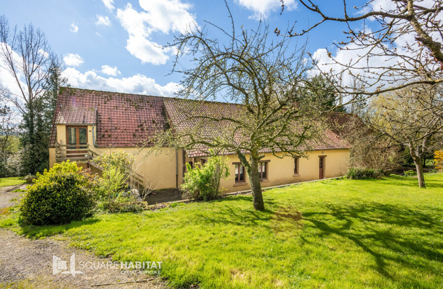 Maison Wierre Effroy 7 pièce(s) 244 m2