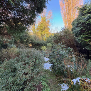 Maison Villeneuve-d’ascq semi-individuelle &nbsp;Sous compromis&nbsp;