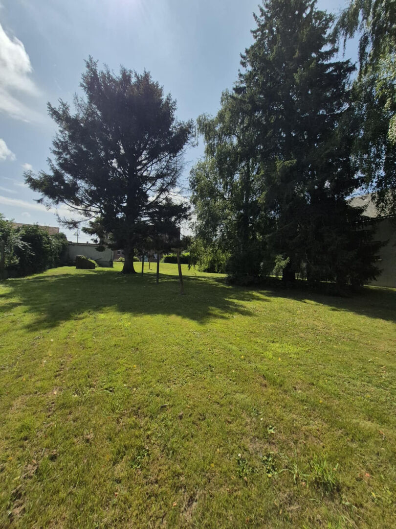 Immeuble à usage mixte .Beau potentiel 18 pièces 379 m2