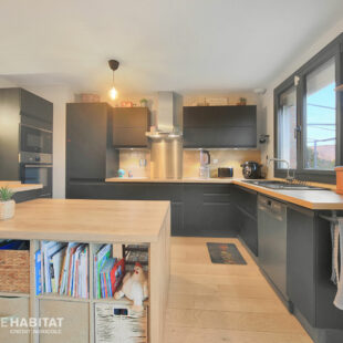 Maison Mons En Pevele 5 pièce(s) 130 m2