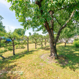 Semi plain pied individuel