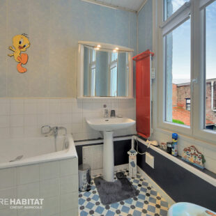 Maison Annoeullin 6 pièce(s) 240 m2