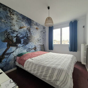 Appartement Hellemmes-lille 4 pièce(s)