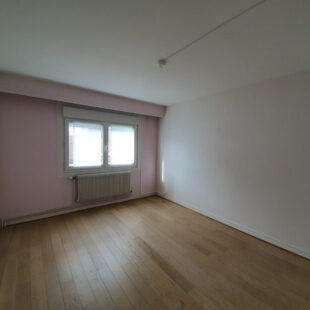 Appartement T5 en hyper centre ville