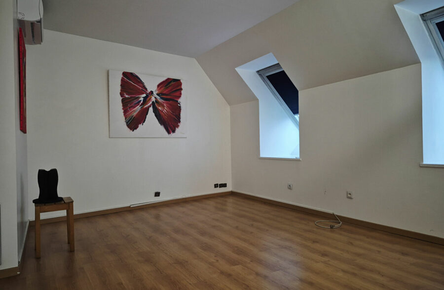 Appartement en centre ville avec emplacement de parking