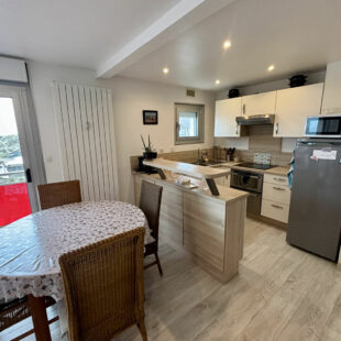 Appartement Sainte Cecile 2 pièce(s) 43 m2