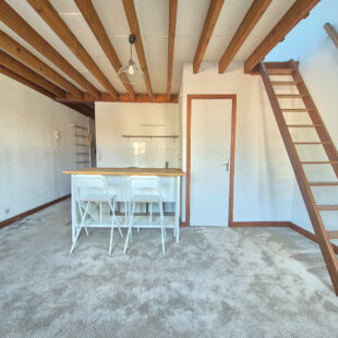 LILLE REPUBLIQUE : T1 BIS LUMINEUX EN DUPLEX