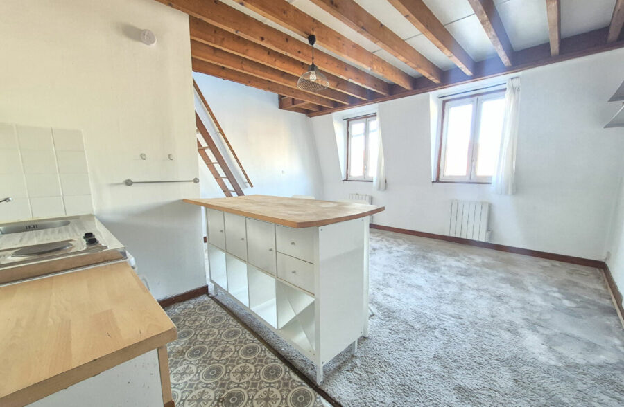 LILLE REPUBLIQUE : T1 BIS LUMINEUX EN DUPLEX