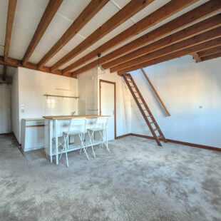 LILLE REPUBLIQUE : T1 BIS LUMINEUX EN DUPLEX