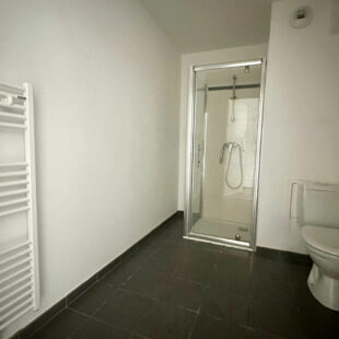 Appartement Wasquehal 1 pièce(s)