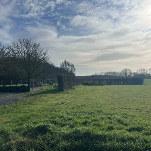 Maison Morbecque 5 pièce(s)