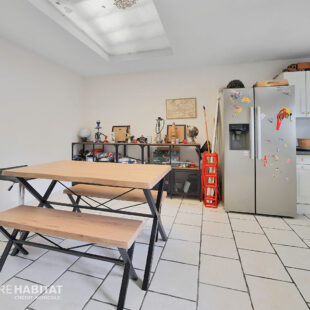 Ensemble immobilier de 2 maisons