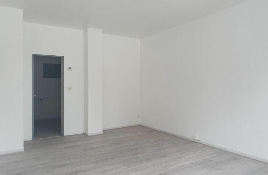 Ensemble immobilier de 2 maisons