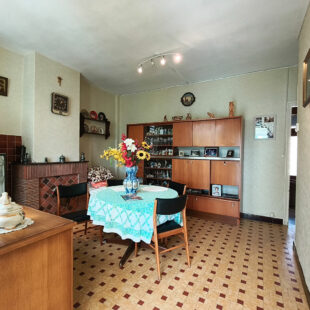 Maison de ville avec bel extérieur