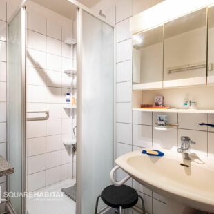 AMBLETEUSE BORD DE MER